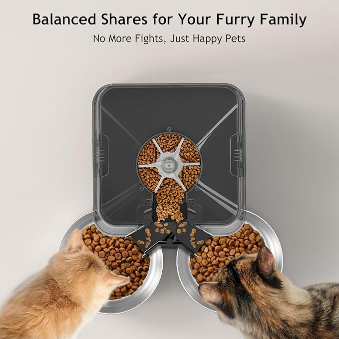 Best Automatic Cat Feeder for Two Cats Review 3 711AJr8ItYL. AC SX679