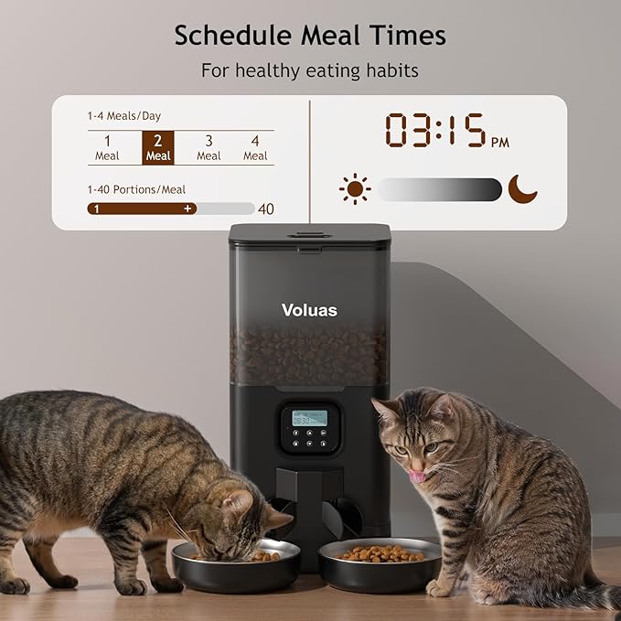 Best Automatic Cat Feeder for Two Cats Review 2 71Cuy1RlKhL. AC SX679